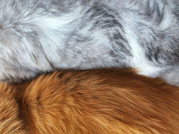 Does Red Light Therapy Penetrate Through Pet Fur? The Science Explained