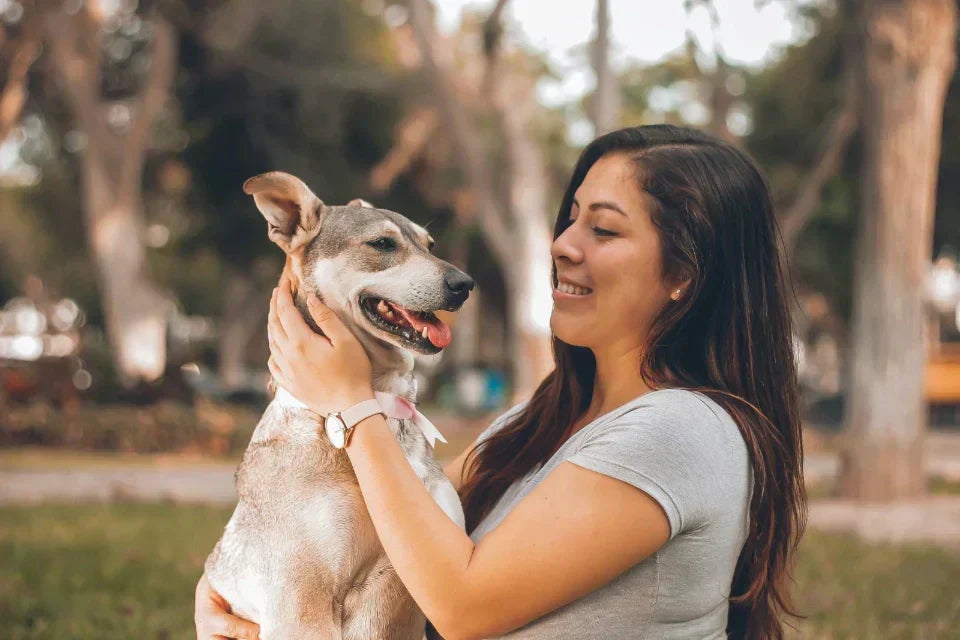A happy dog and its smiling owner sharing a joyful moment outdoors, reflecting the daily bonding routine supported by the PawMoves Restore Red Light & Massage Wrap for Pets