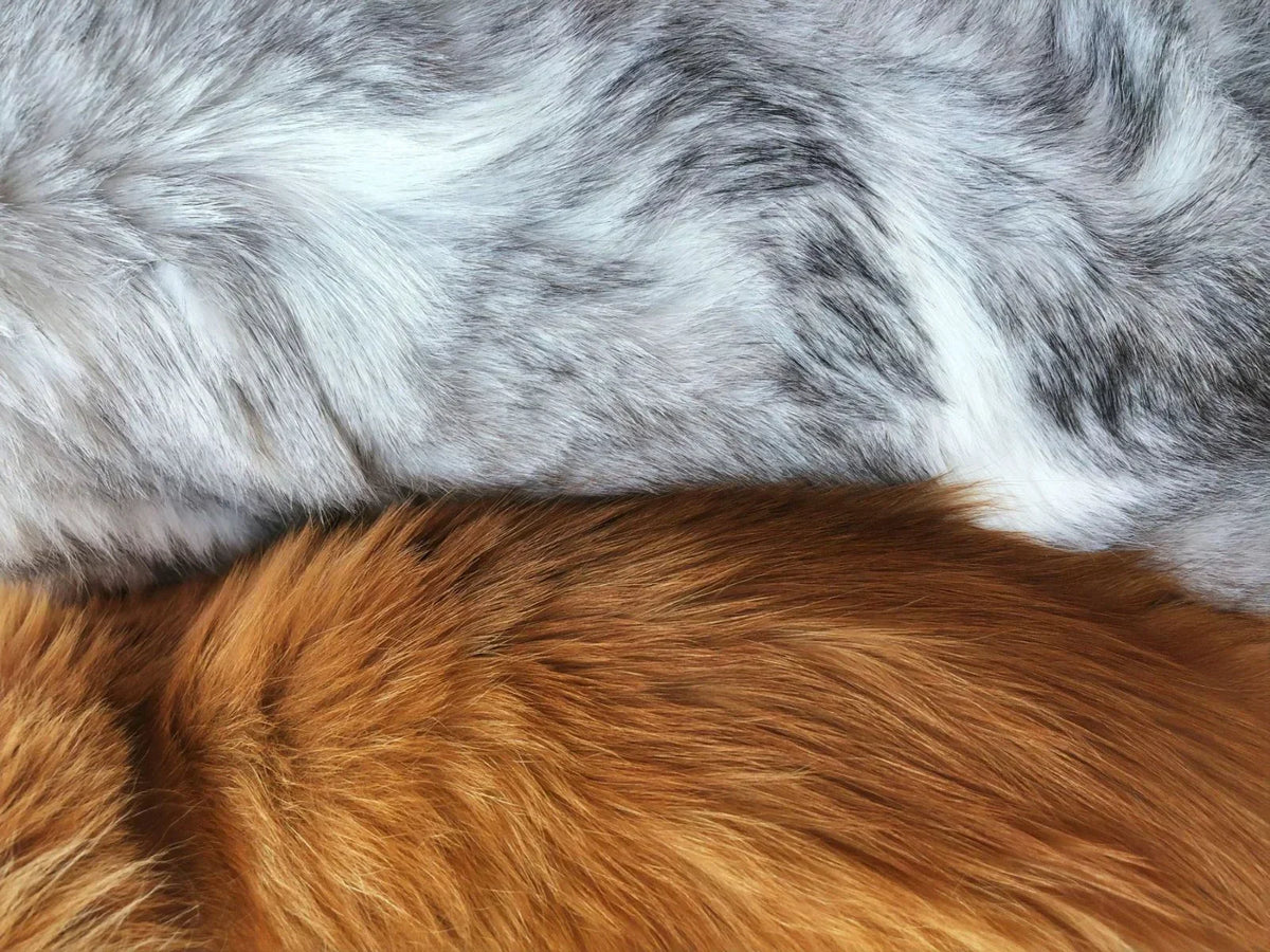 Does Red Light Therapy Penetrate Through Pet Fur? The Science Explained