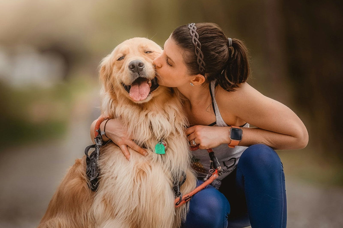 Red Light Therapy for Golden Retrievers: Hip Dysplasia & Aging Support